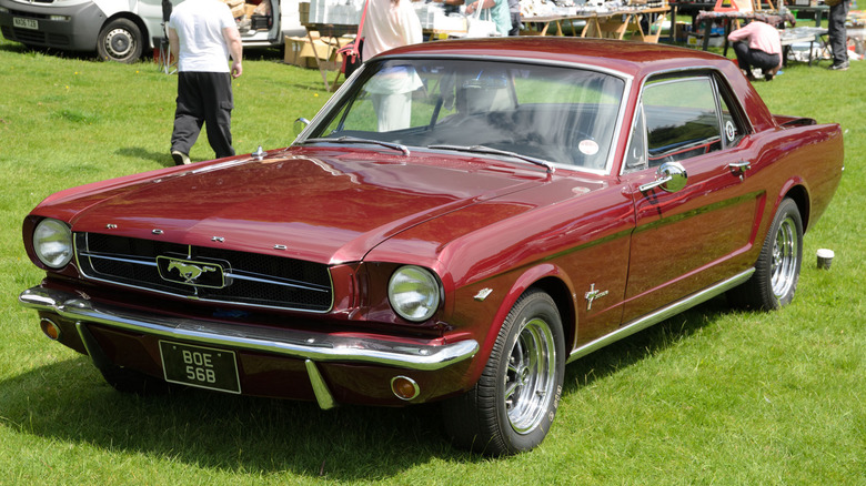 Red 1964 1/2 Ford Mustang parked in grass at Capesthorne car show