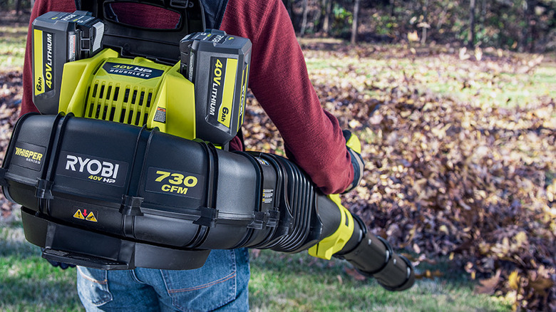 Backpack blower blowing leaves