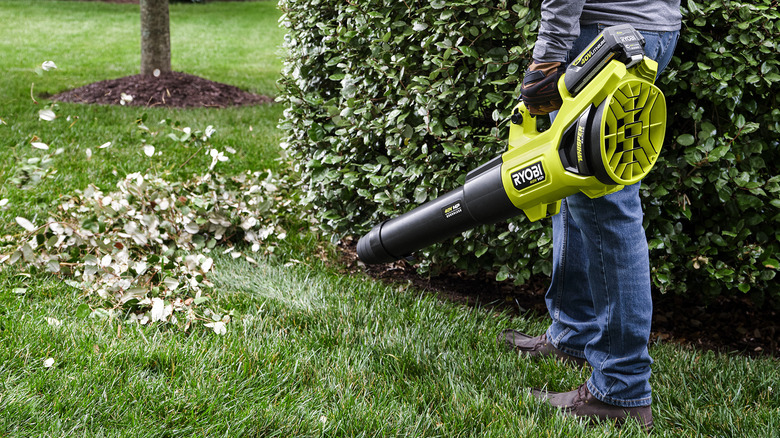 Blower moving leaves and grass