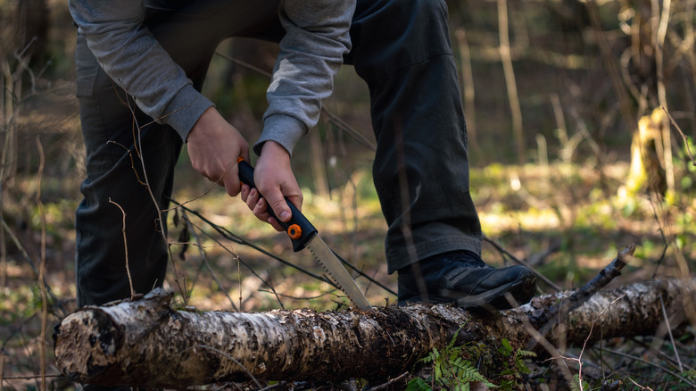 person sawing a tree branch in the woods