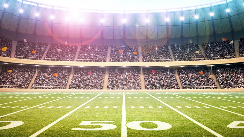 football stadium with cheering fans