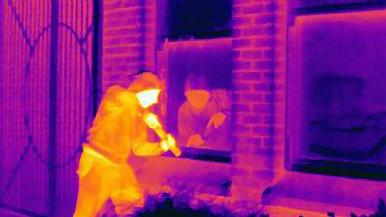 trespasser captured through thermal imaging