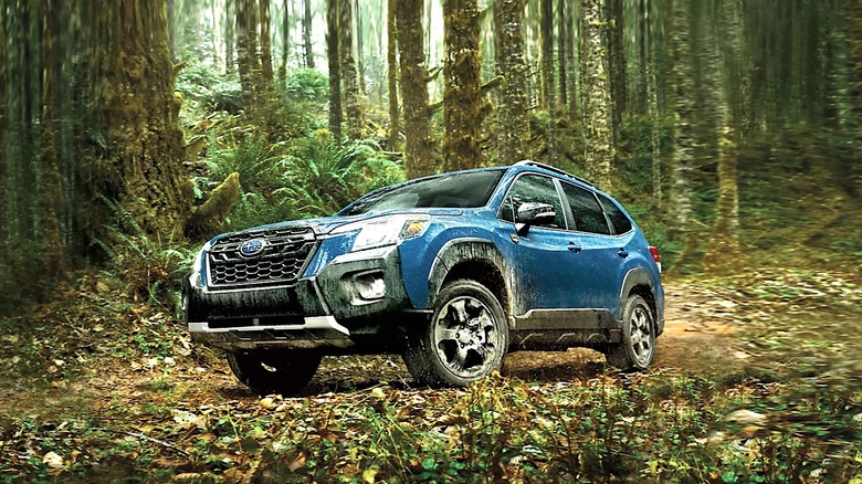 Subaru vehicle parked in a wooded area