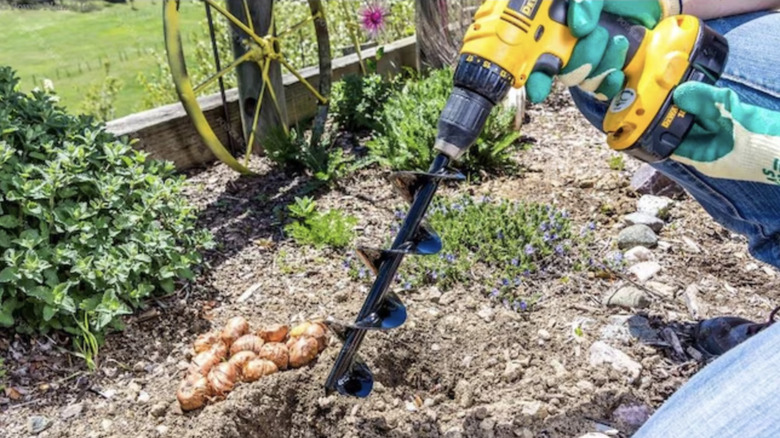 Drill with a auger drill bit attached