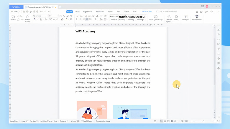 WPS Office Writer document with texta nd images