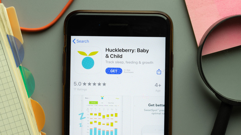 Huckleberry app on phone