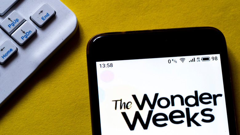 Wonder Weeks app on phone