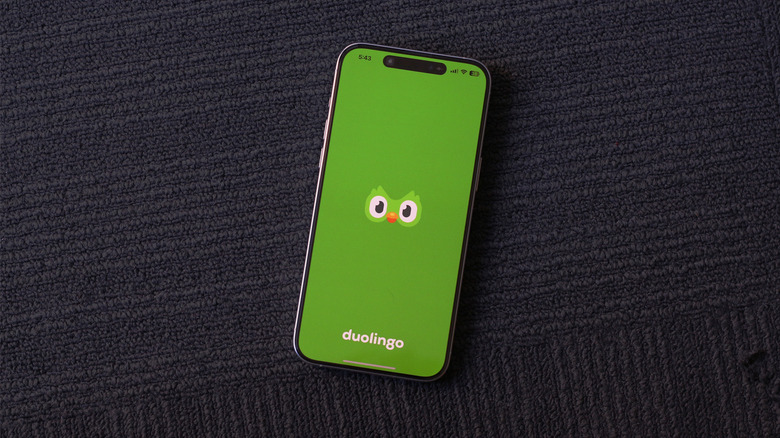 Duolingo splash screen on a phone