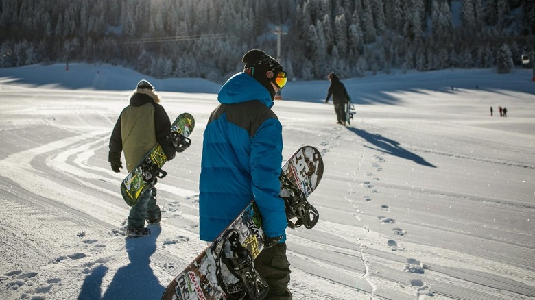 People walking in snow while holding their snowboards