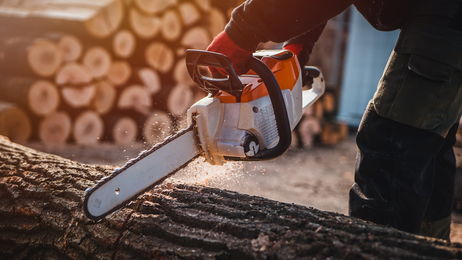 5 Battery-Powered Stihl Chainsaws For Your Next Big Lumber Project