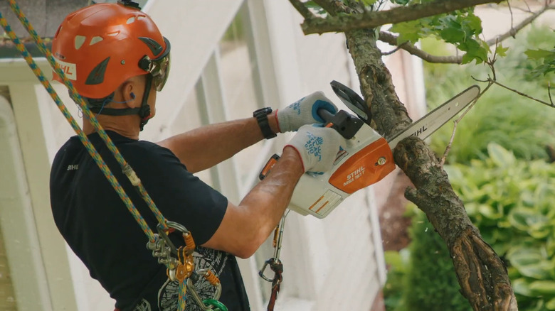 man using Stihl MSA 161 T