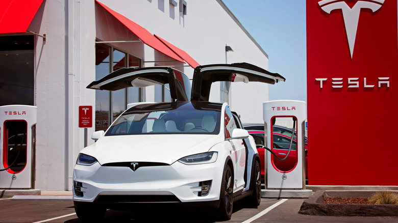 Tesla Model X parked charging