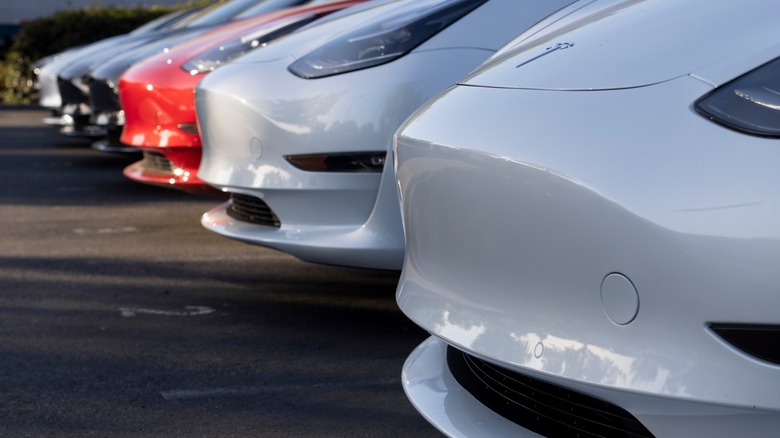 Tesla cars parked in row