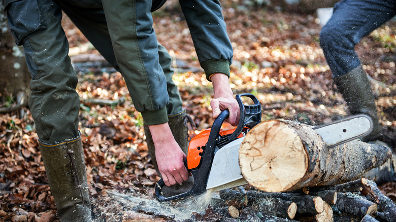 person cutting wood