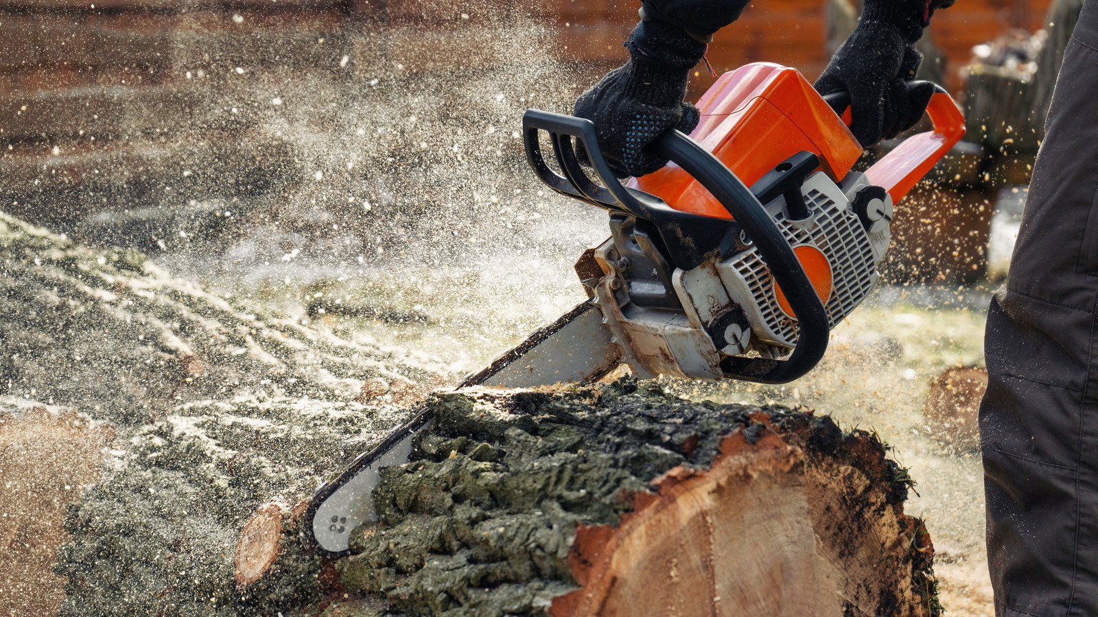 5 Chainsaw Maintenance Tips & Tricks