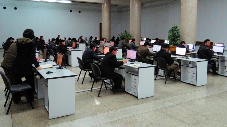 People working with computers