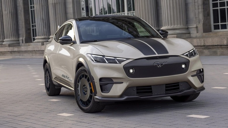 Front view of a parked Ford Mustang Mach-E SUV