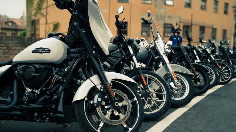 Harley-Davidson motorcycles parked in a row