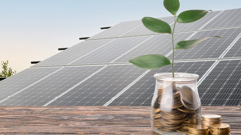 jar of coins sprouting a plant