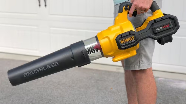 Person holding DeWalt blower