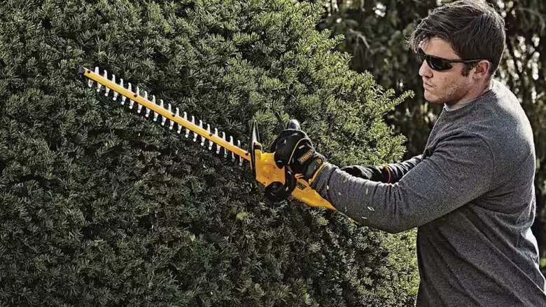 Man uses DeWalt hedge trimmer