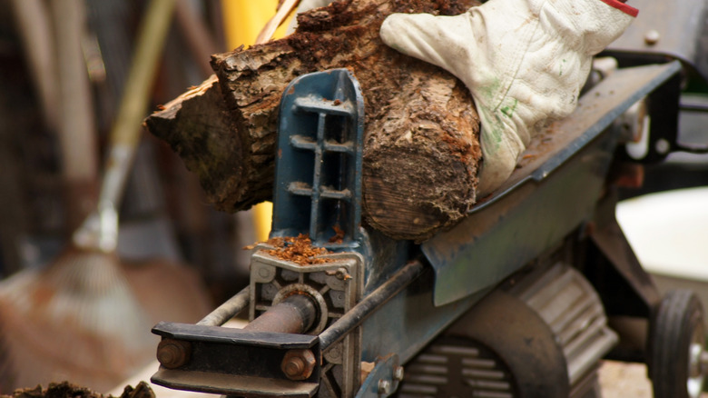 man placing logs in splitters