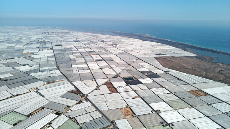 Greenhouses of Almería