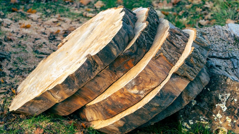 wooden discs cut from a log