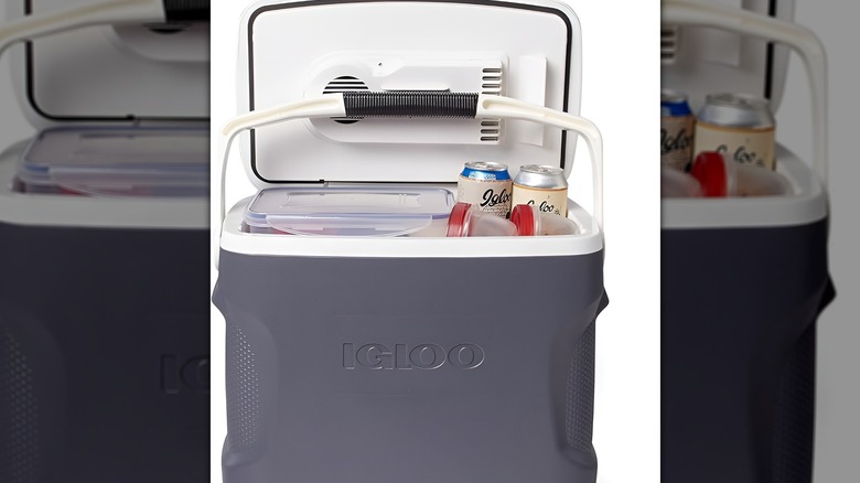 Igloo Versatemp Portable Electric Cooler