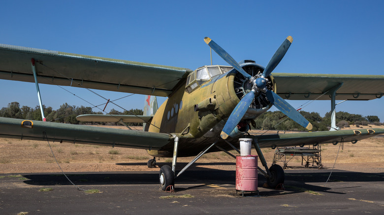 an An-2 on the tarmac