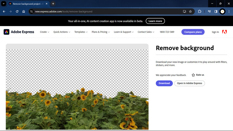 removing background in Adobe Express