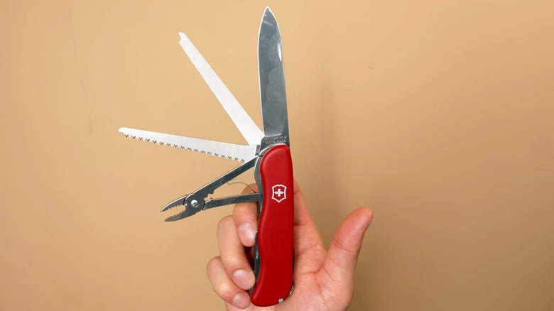 Person holding swiss army knife