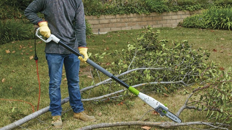 Person using pole saw to cut up tree branches