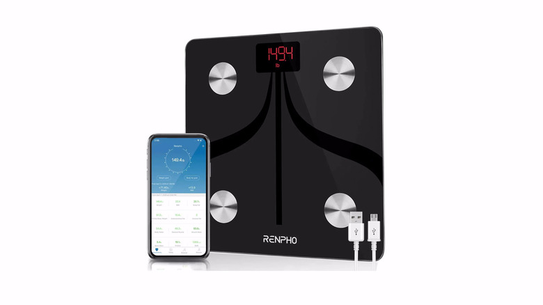 Renpho smart scale wide shot