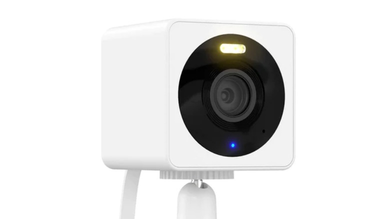 white Wyze camera 