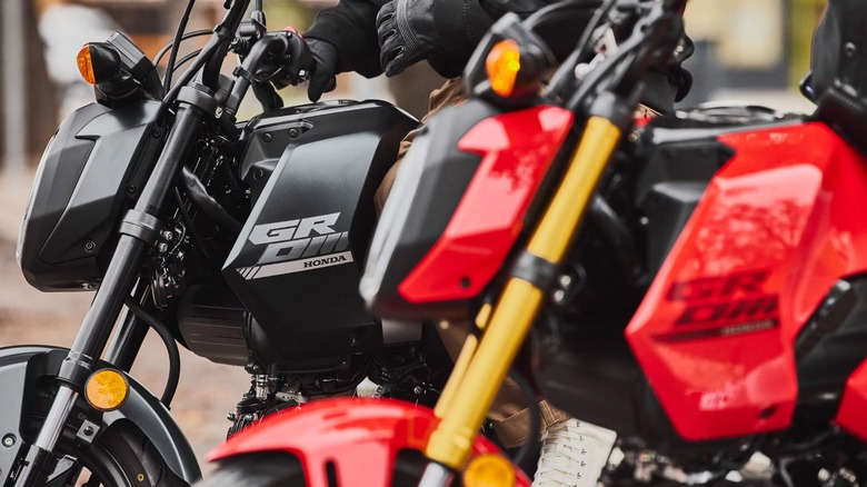 5 Honda Grom Alternatives That Won’t Break The Bank