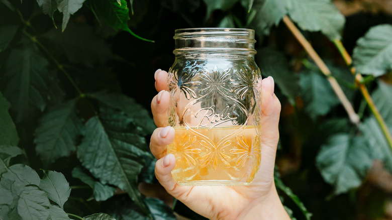 hand holding a Ball mason jar