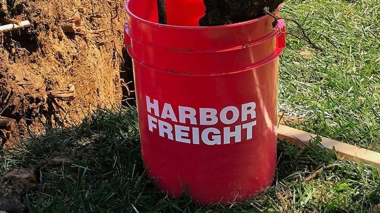 A Harbor Freight bucket holding tools and sitting outside.