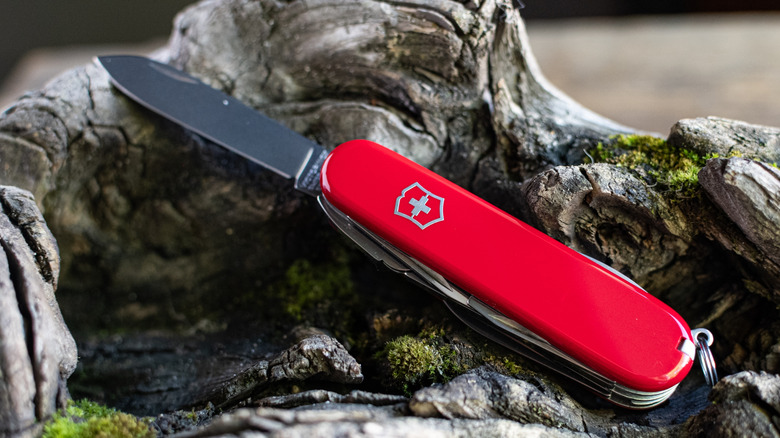 victorinox swiss army display