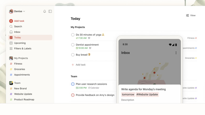 Todoist interface