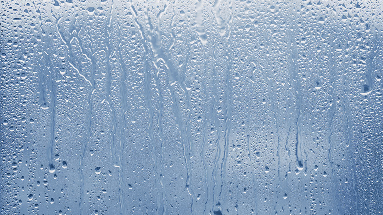 Condensation on window