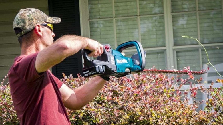 Man trimming bushes with hedge trimmer