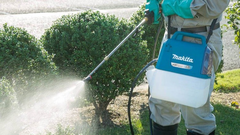 Person using yard sprayer