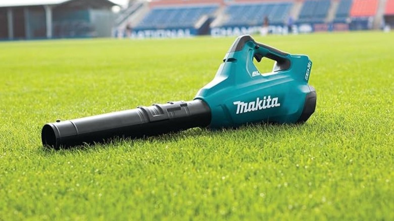 Makita blower sitting on grass