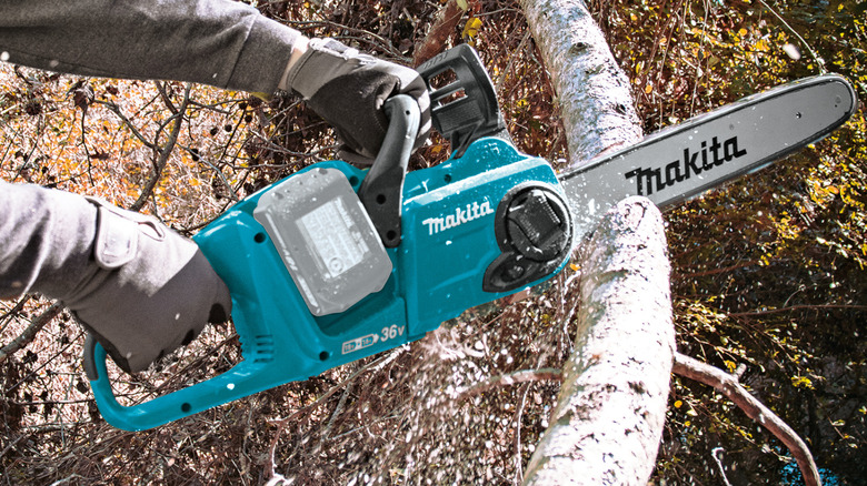 Person cutting branch with chainsaw