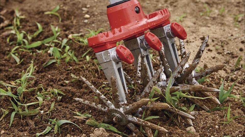 Corona cultivator