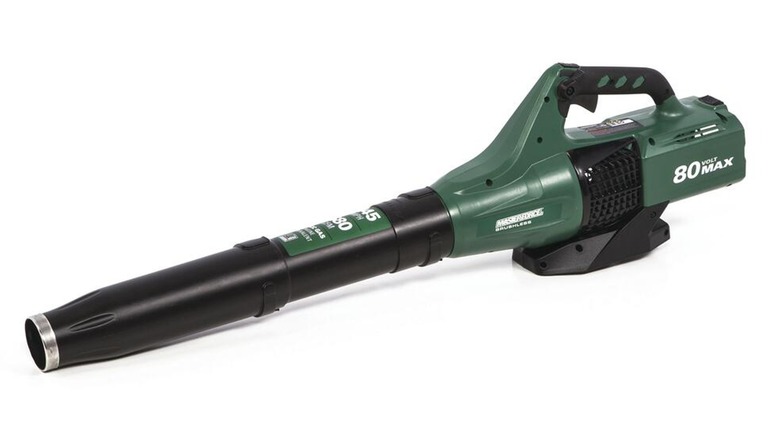 Masterforce leaf blower