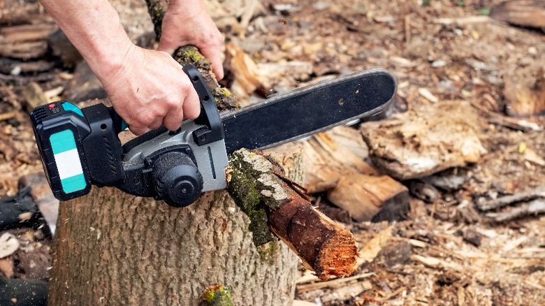 Person using small chainsaw on wood