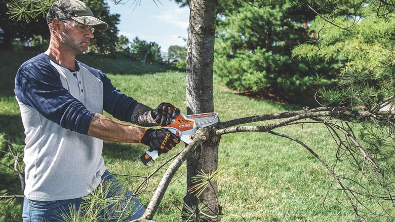 Man using small chainsaw on tree limb