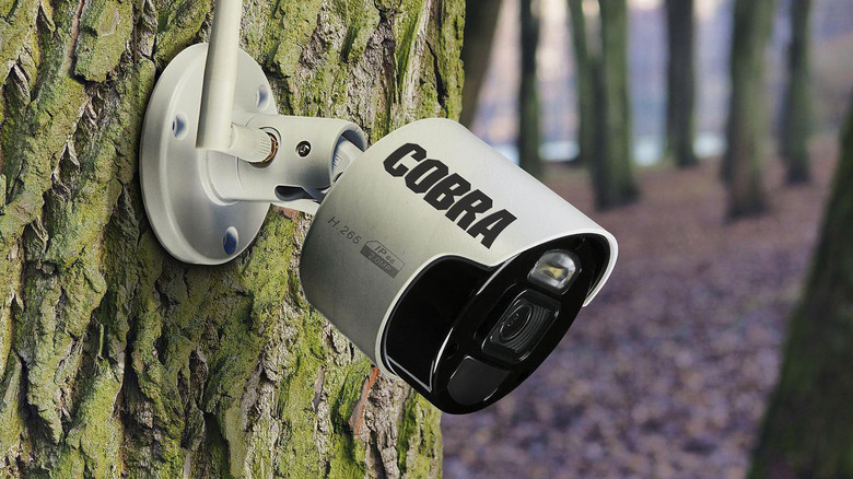 Cobra security camera mounted on tree